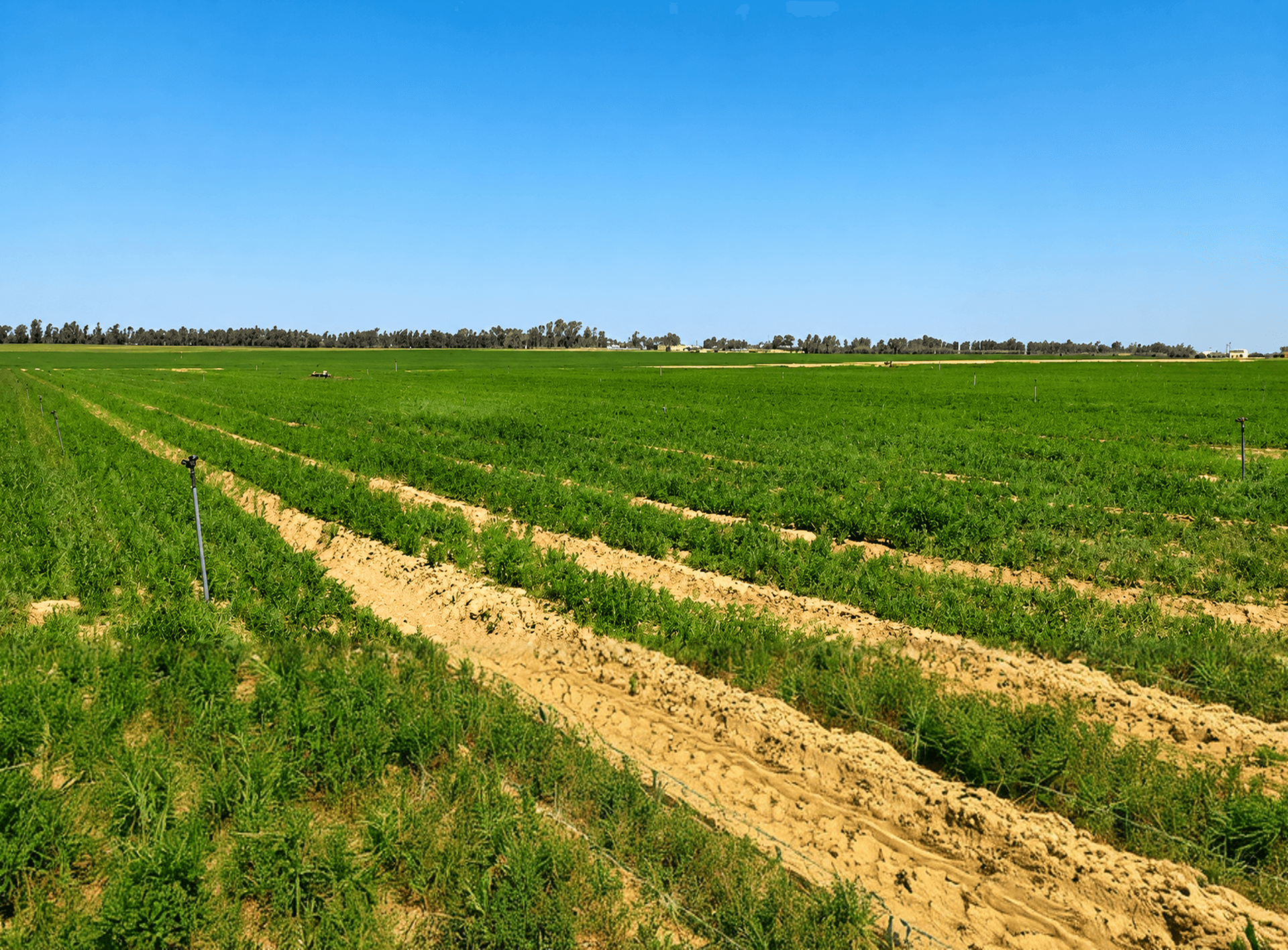 Farm Landscape