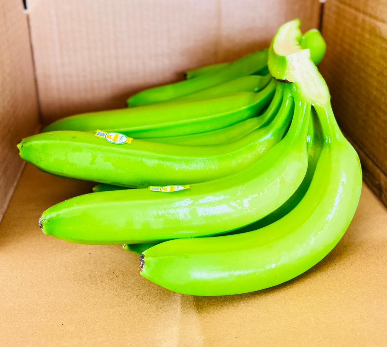 Bananas - Fruits