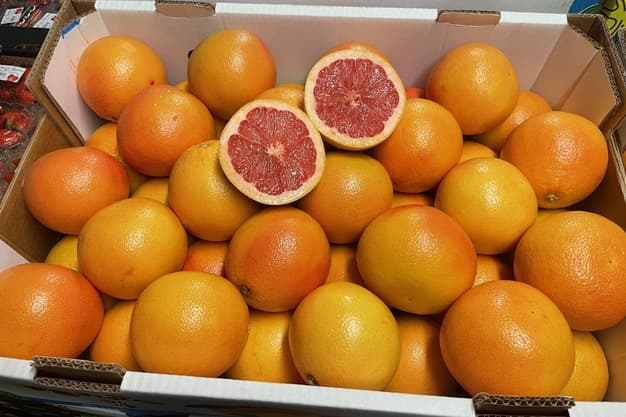 Grapefruit