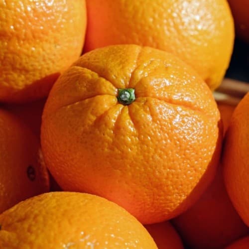 Navel Oranges - Fruits
