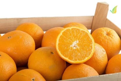 Navel Oranges